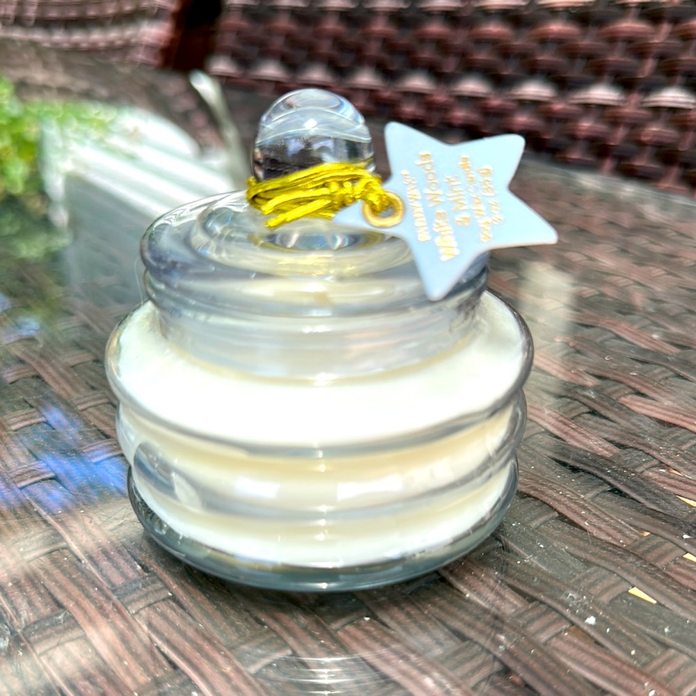 Paddywax Glass Jar Candle with Lid, white Woods and Mint